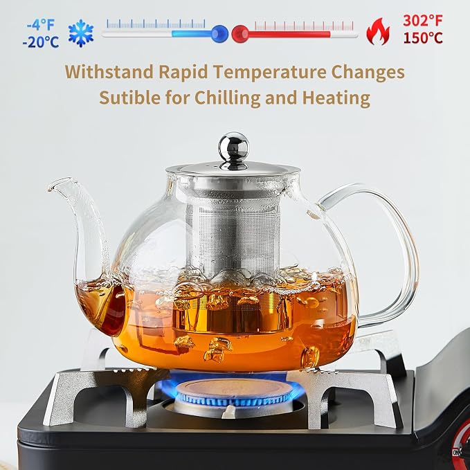 Glass Teapot with Stainless Steel with removeable Infuser – Teapot blooming and loose leaf tea maker Kettle for camping-zinggal